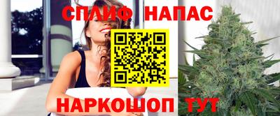 сатива Беслан